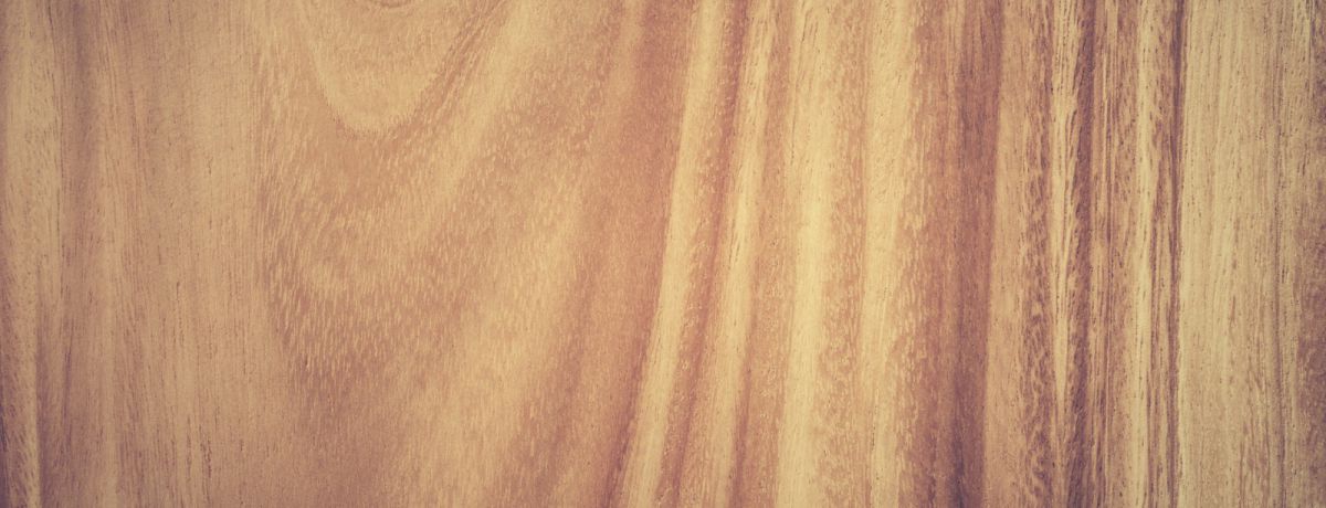 Proprietà fisiche del legno